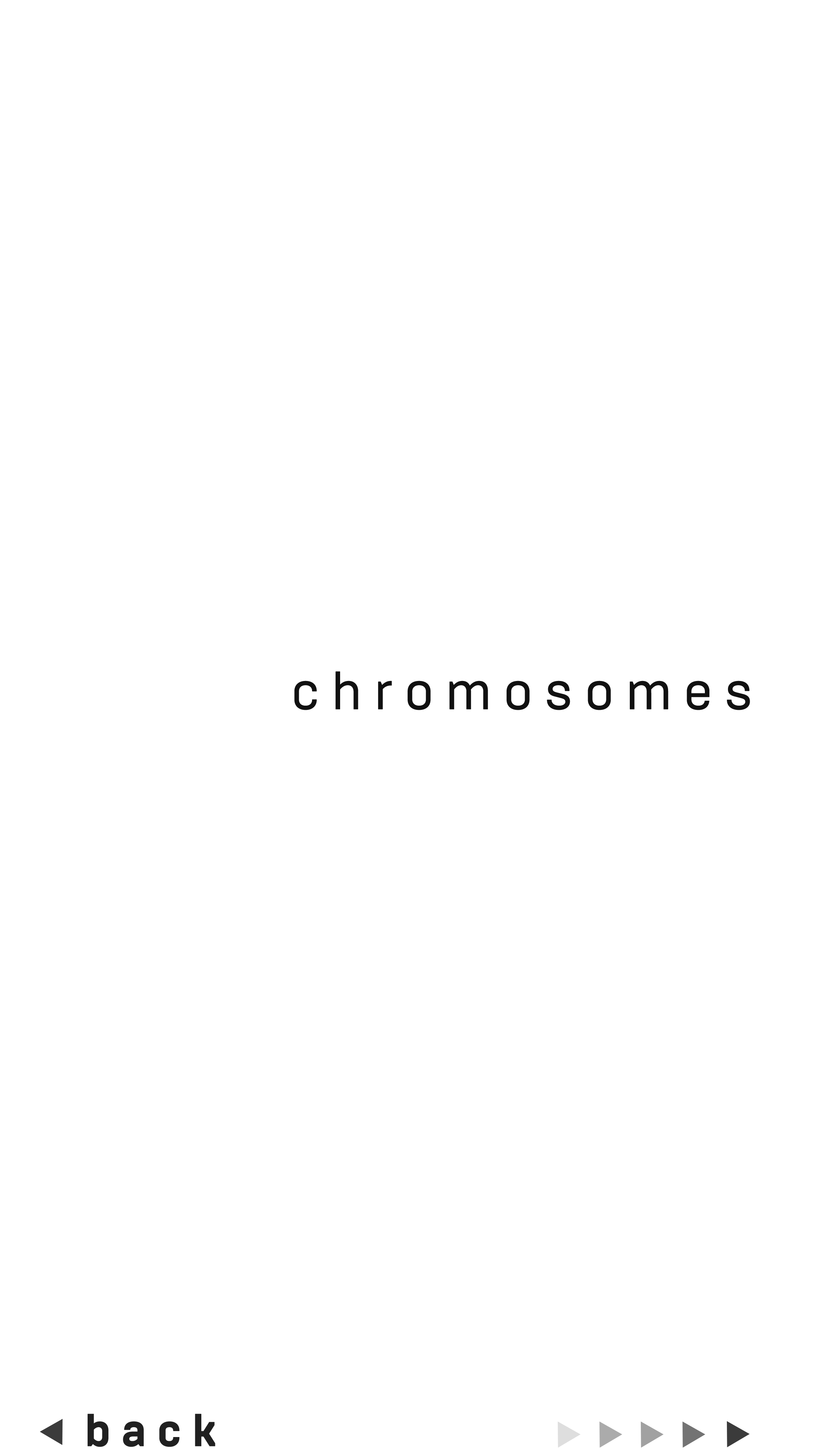 MusicIntroGraphic_chromosomes.png