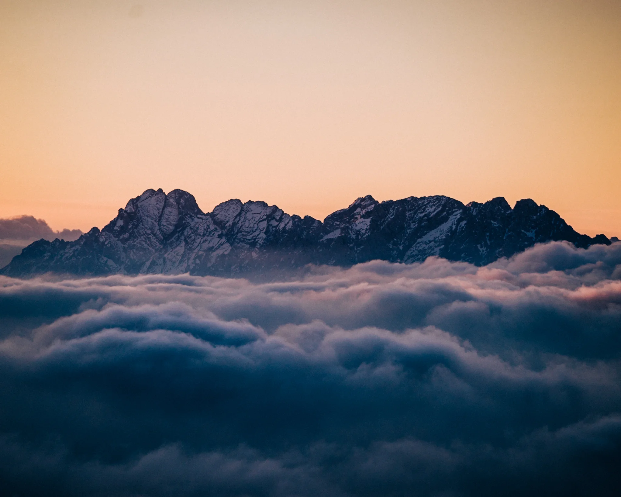 _DSC08901.jpg