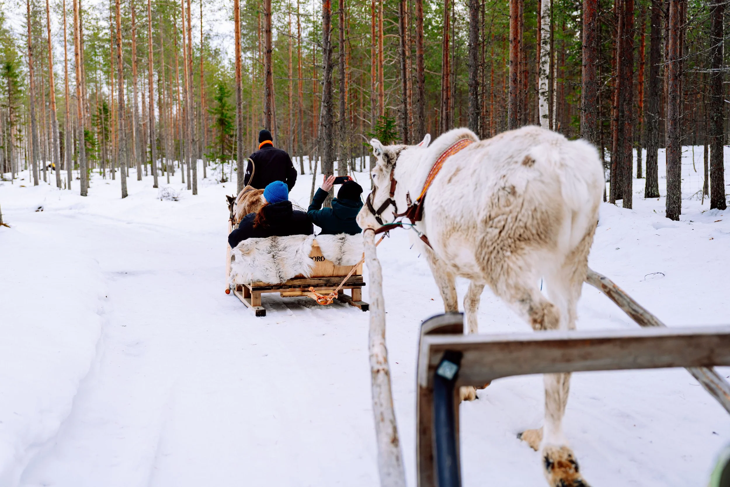 hynekhampl_DSC00875.jpg