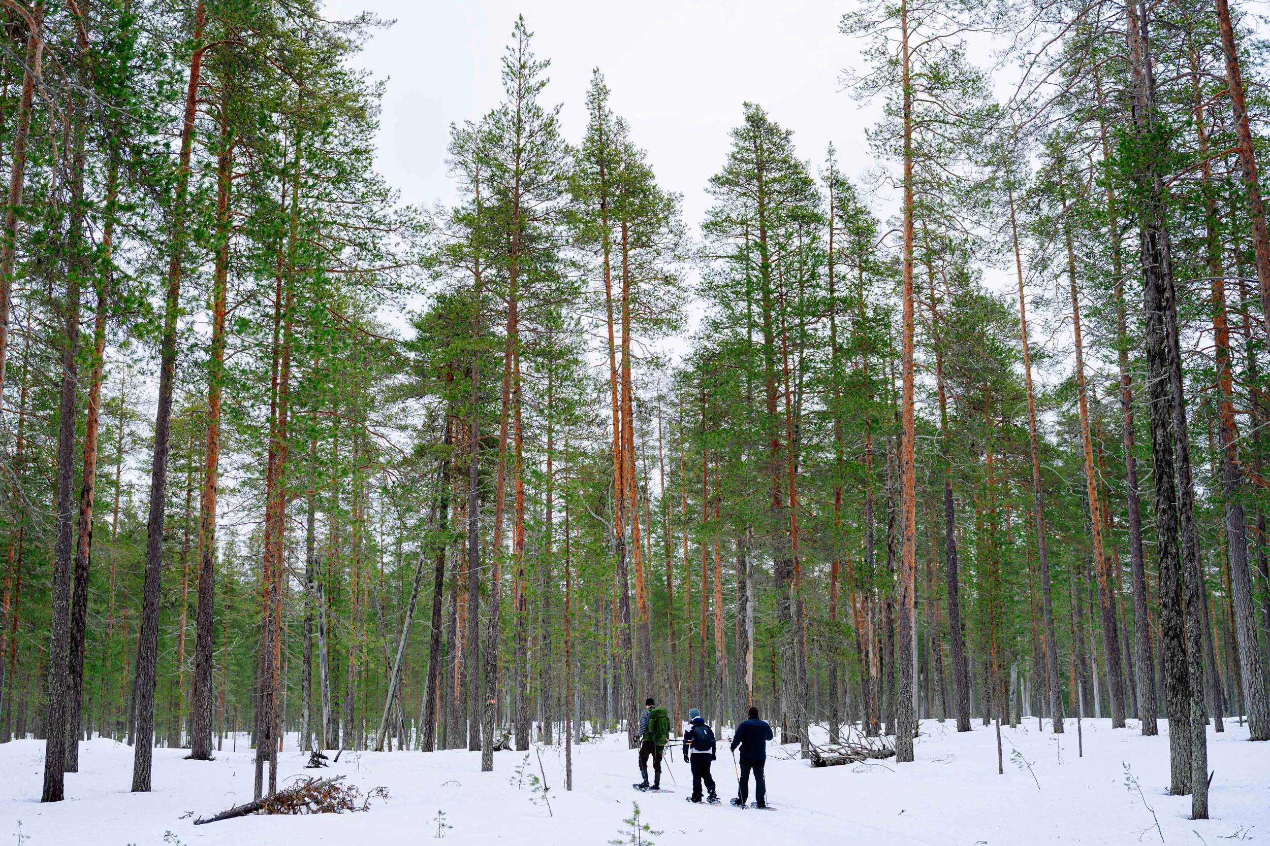 hynekhampl_DSC01139.jpg