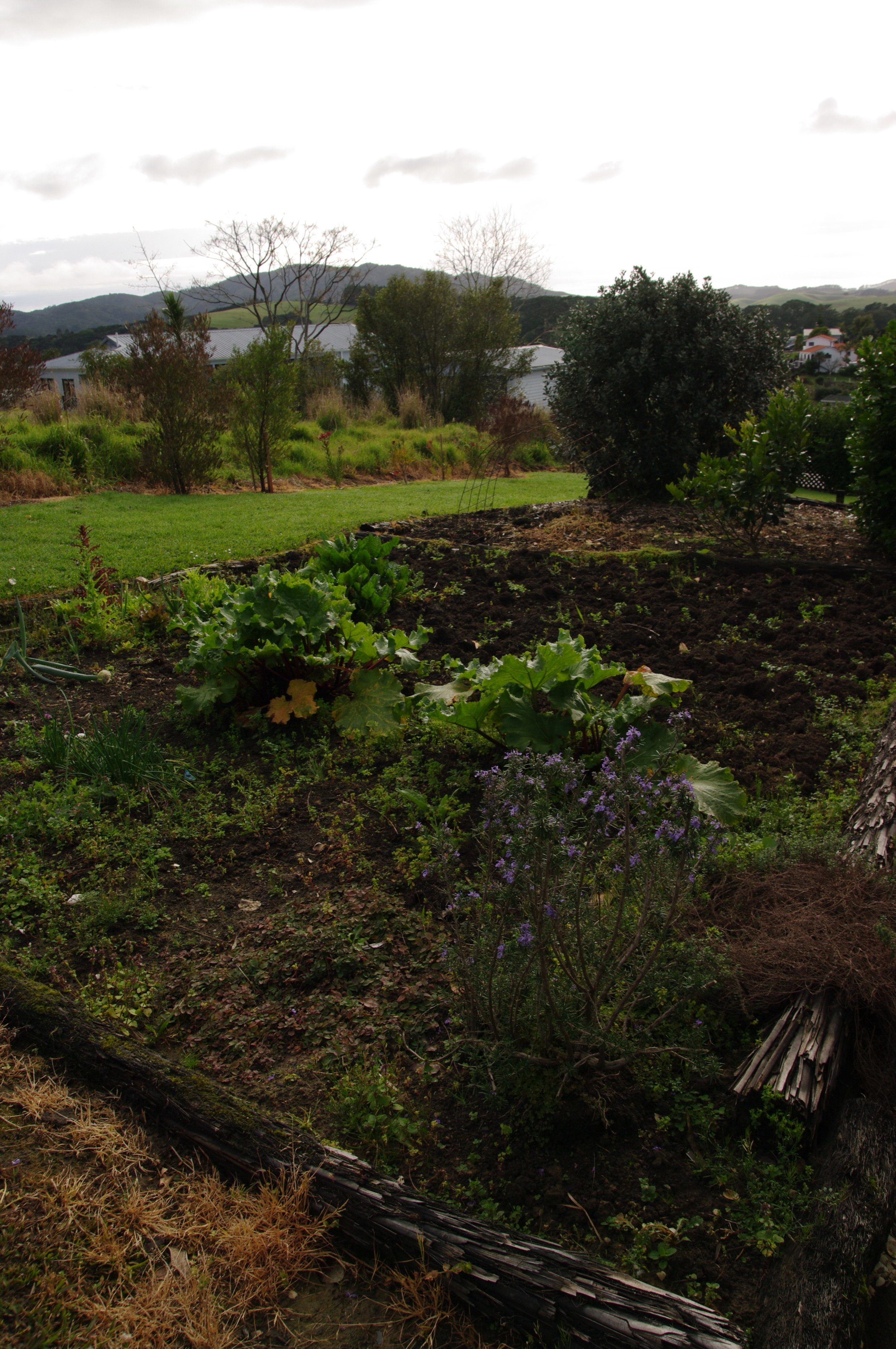 MBH kitchen garden.jpg
