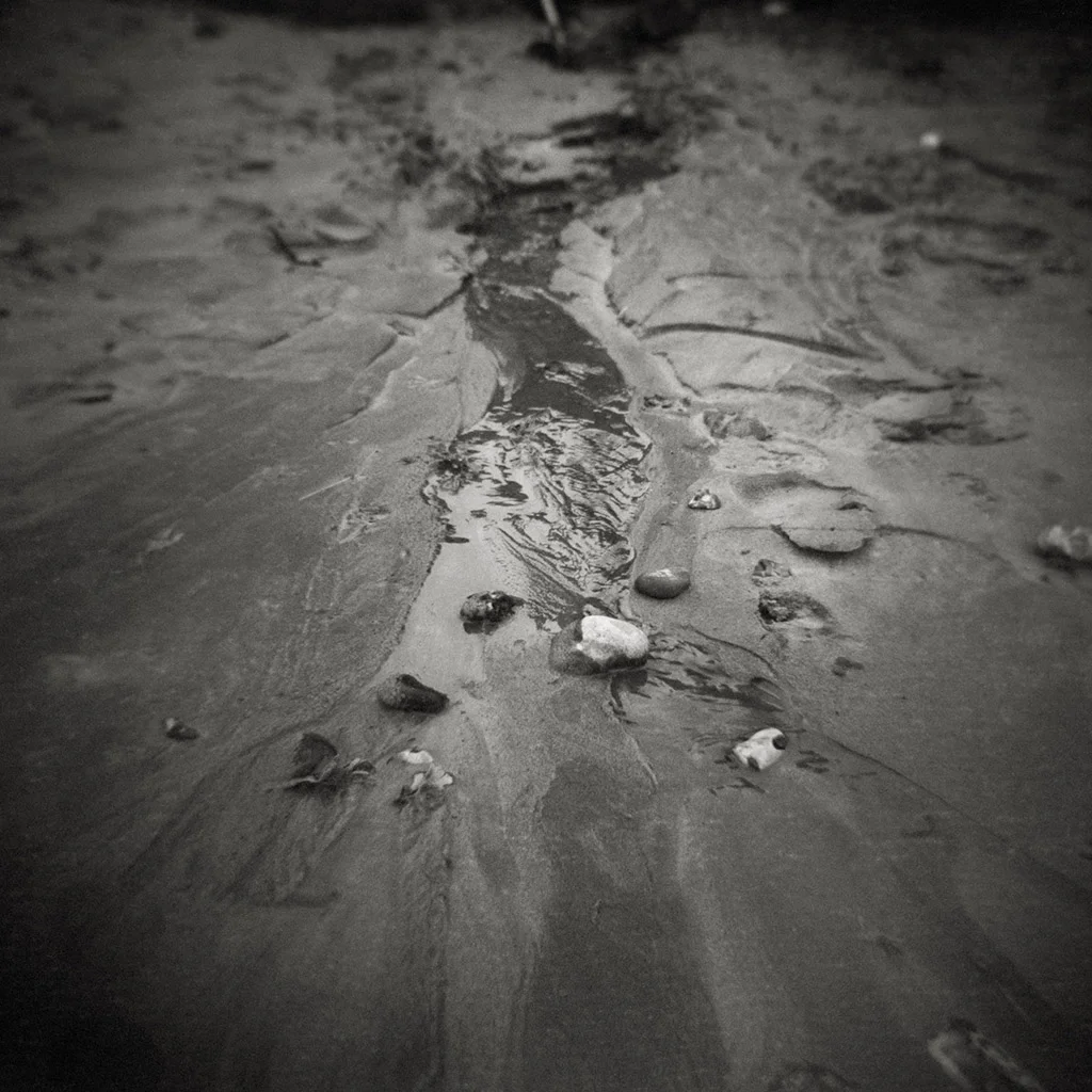The bones of the sea XI (Humours)