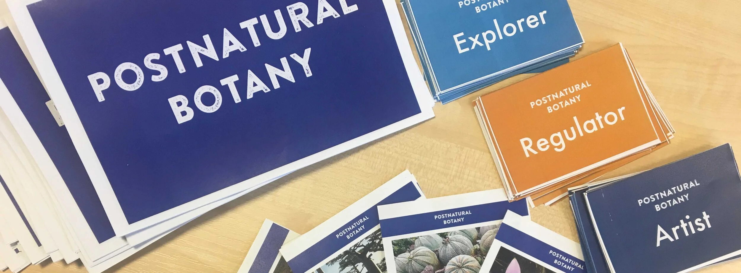 “POSTNATURAL BOTANY” RULES BOOKLET, PLANT DISCOVERY CARDS, AND ROLE-PLAYING CARS FOR “EXPLORER”, “REGULATOR” AMD “ARTIST”. A COLLABORATIVE EFFORT BETWEEN KAREN INGRAM AND NICOLA PATRON FOR THE 4TH ANNUAL OPENPLANT FORUM. Photo: Karen Ingram