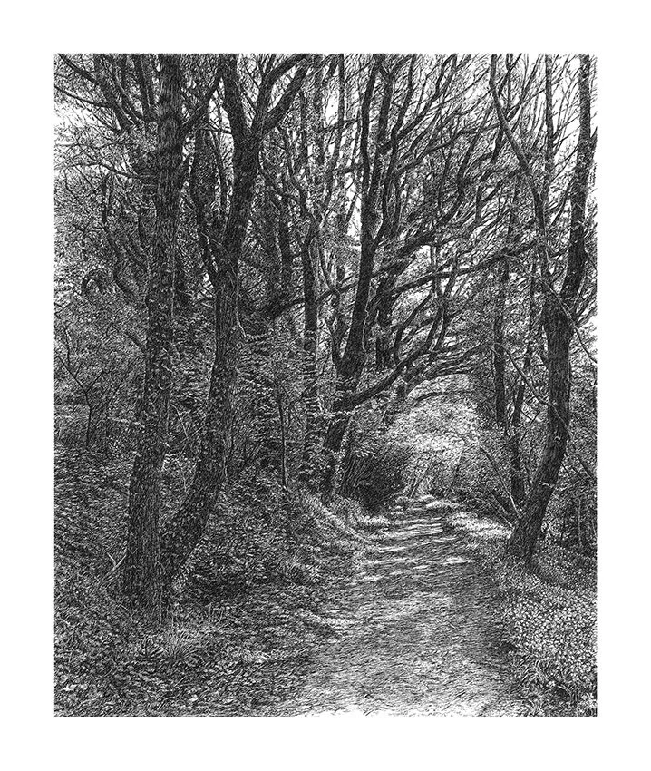 April in the Woods (253x300) 72dpi.jpg