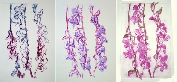 "Dendrobium Orchid Series I" 