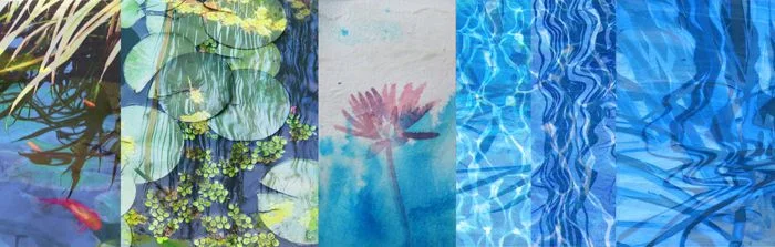 "Pink Waterlily/ Pond I Surround"
