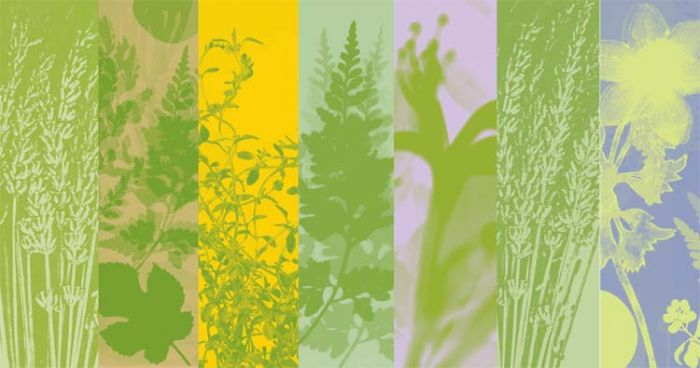 Resonates Design Panels