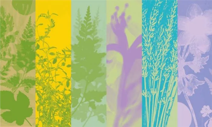 Resonates Design Panels
