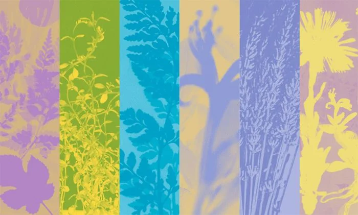 Resonates Design Panels