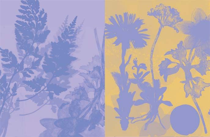 Resonates Image 8 from GardenSpirits.jpg