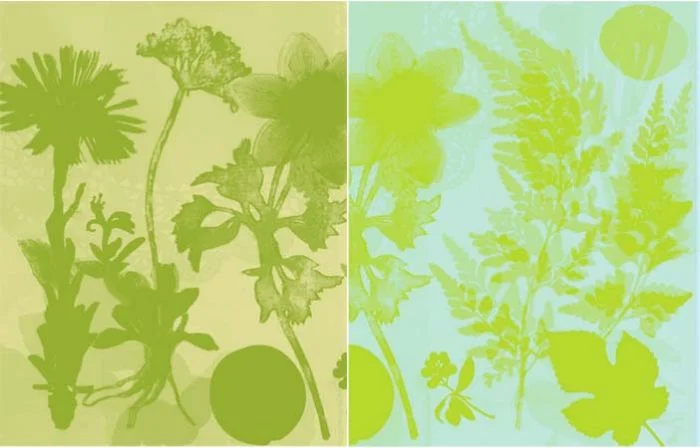 Resonates Image 9 from GardenSpirits.jpg