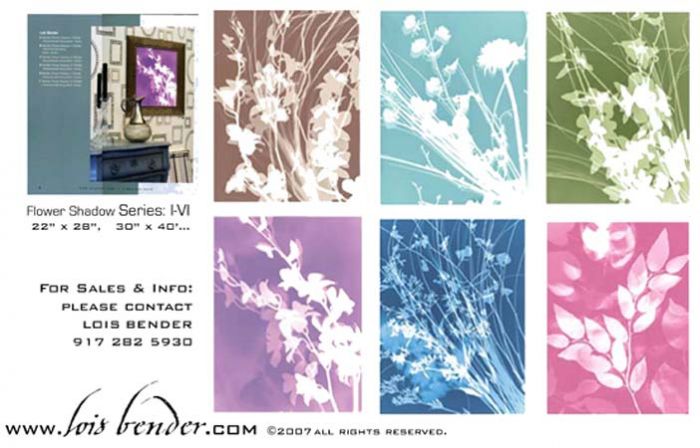 Studio EL, Editions Limited Prints "Flower Shadows" 