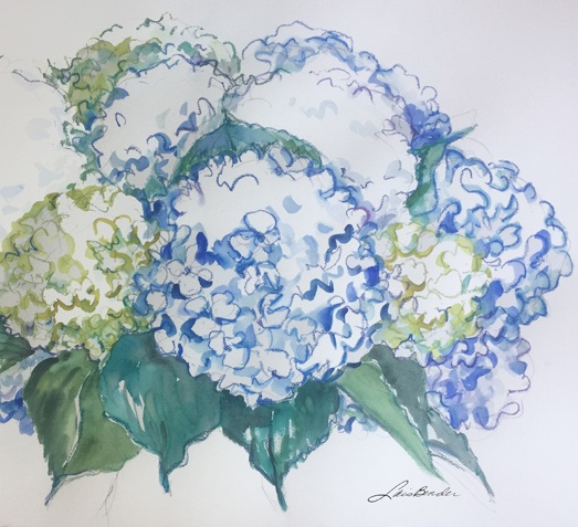 Hydrangeas. etc.