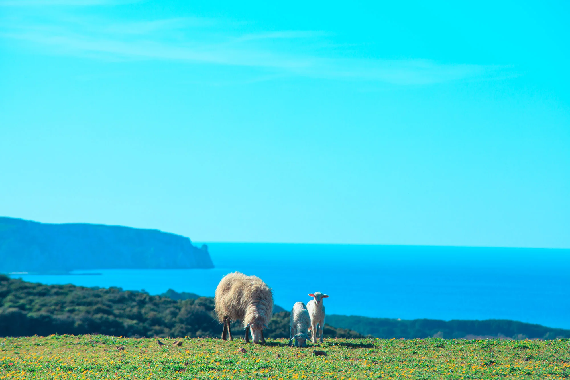 Agriturismo Il Ginepro