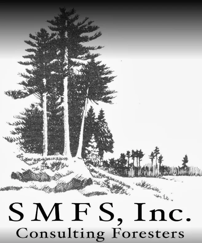 SMFS-ID.jpg