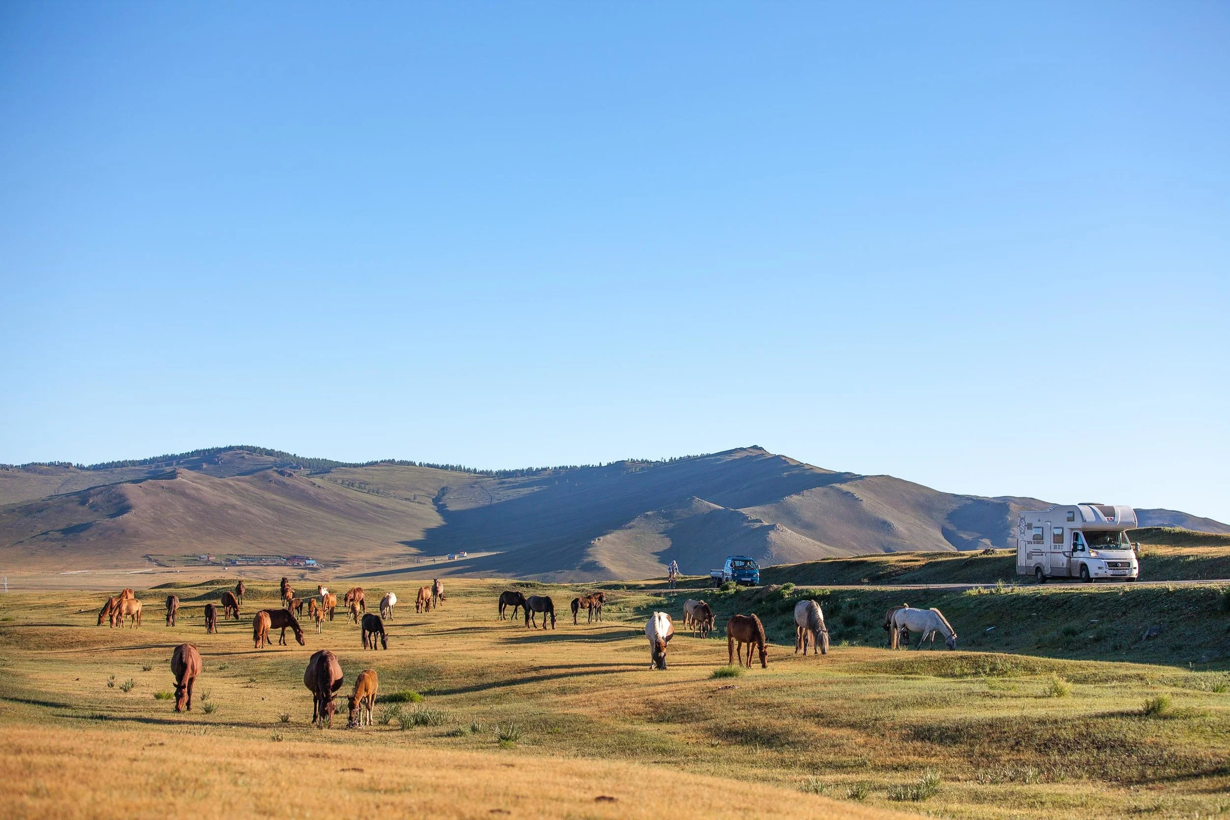 Mongolia. photo courtesy of Johnny Swanepoel