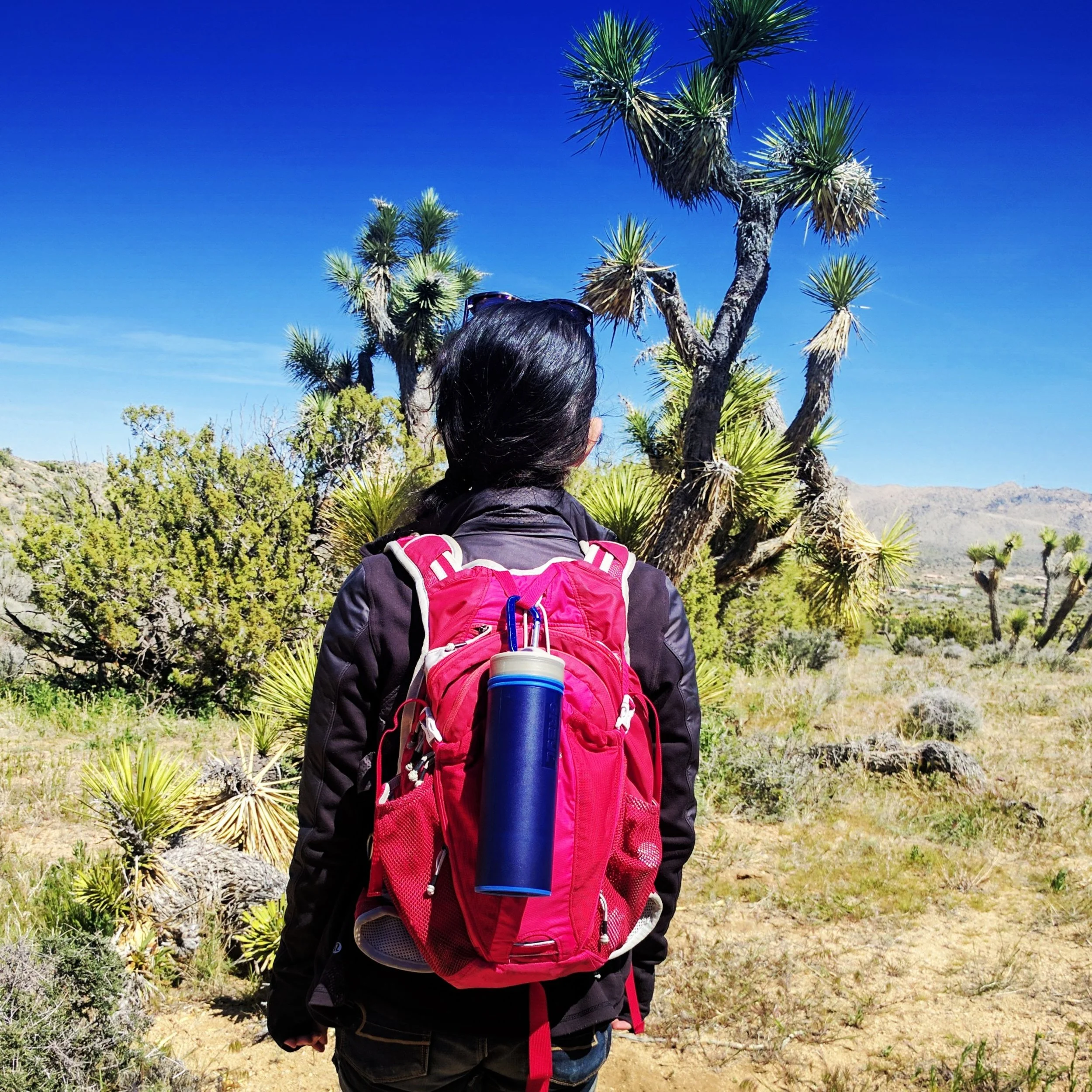 Prepping & Packing for Your (My) First Camping Trip!