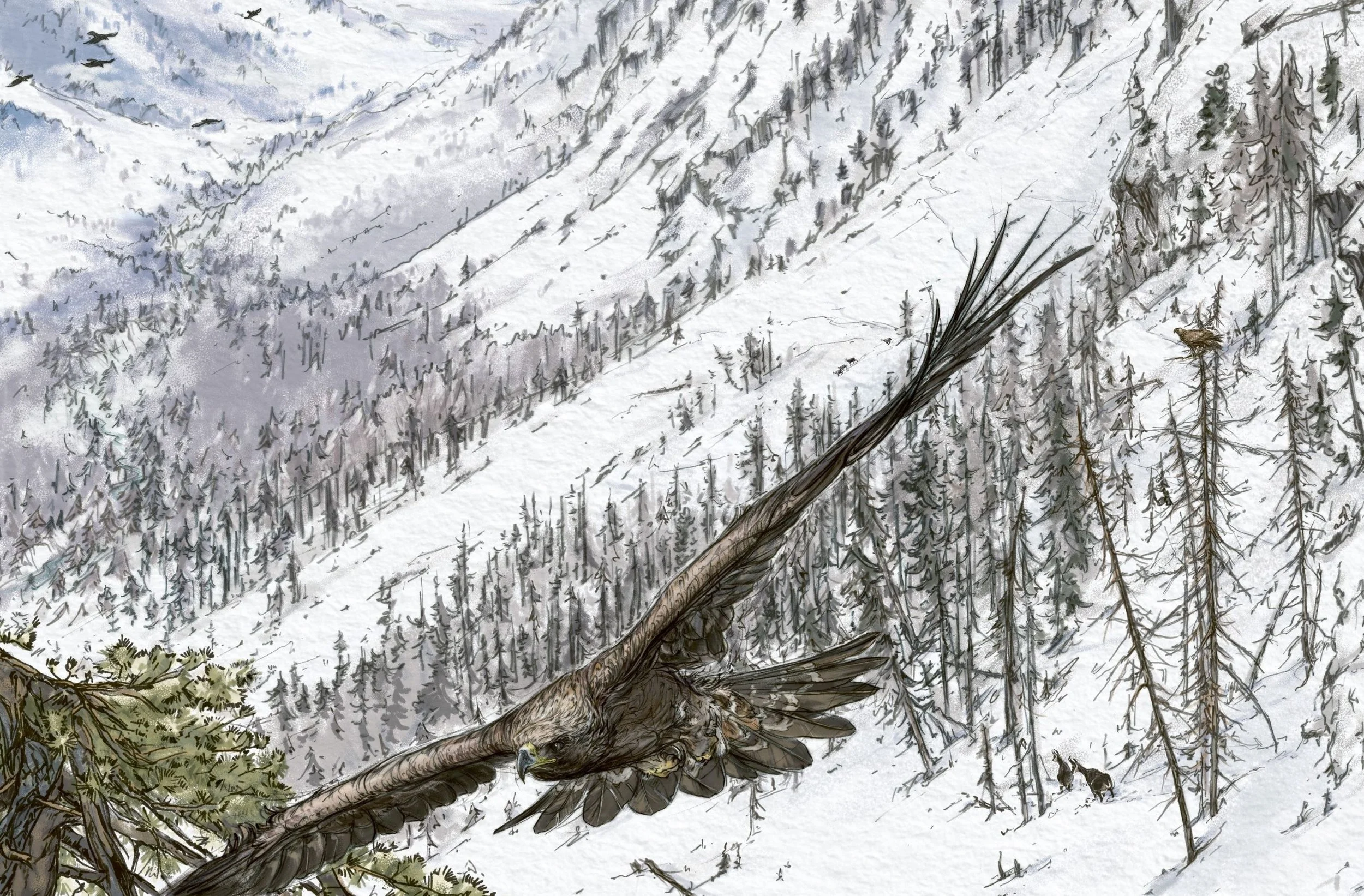 steinadler_panorama_winter_gzd_final_uncoatedFOGRA52_p_b_web.jpg