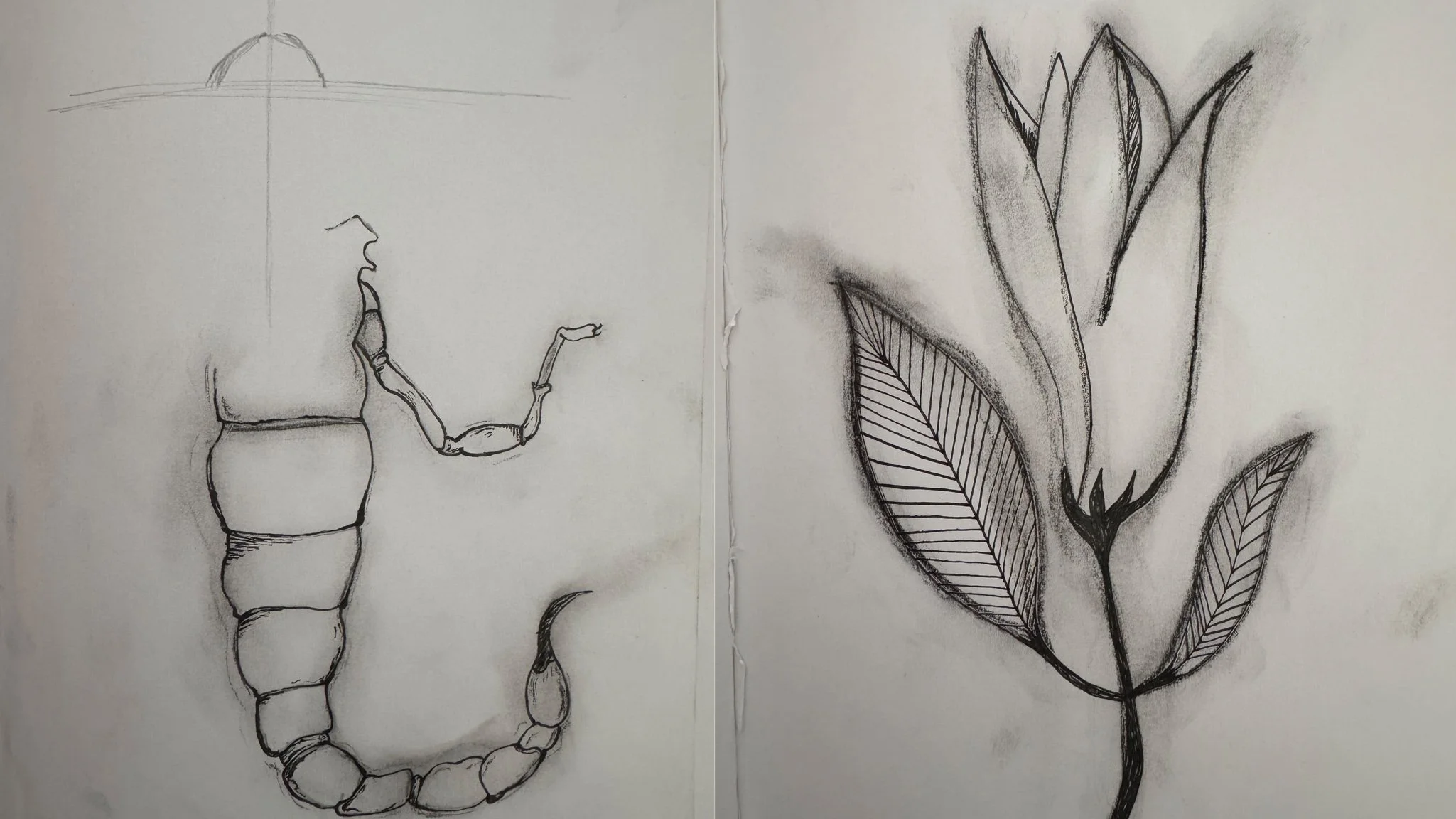  Hero Character Sketchbook (Hand Drawn on Paper)  Charcoal Illustrations 