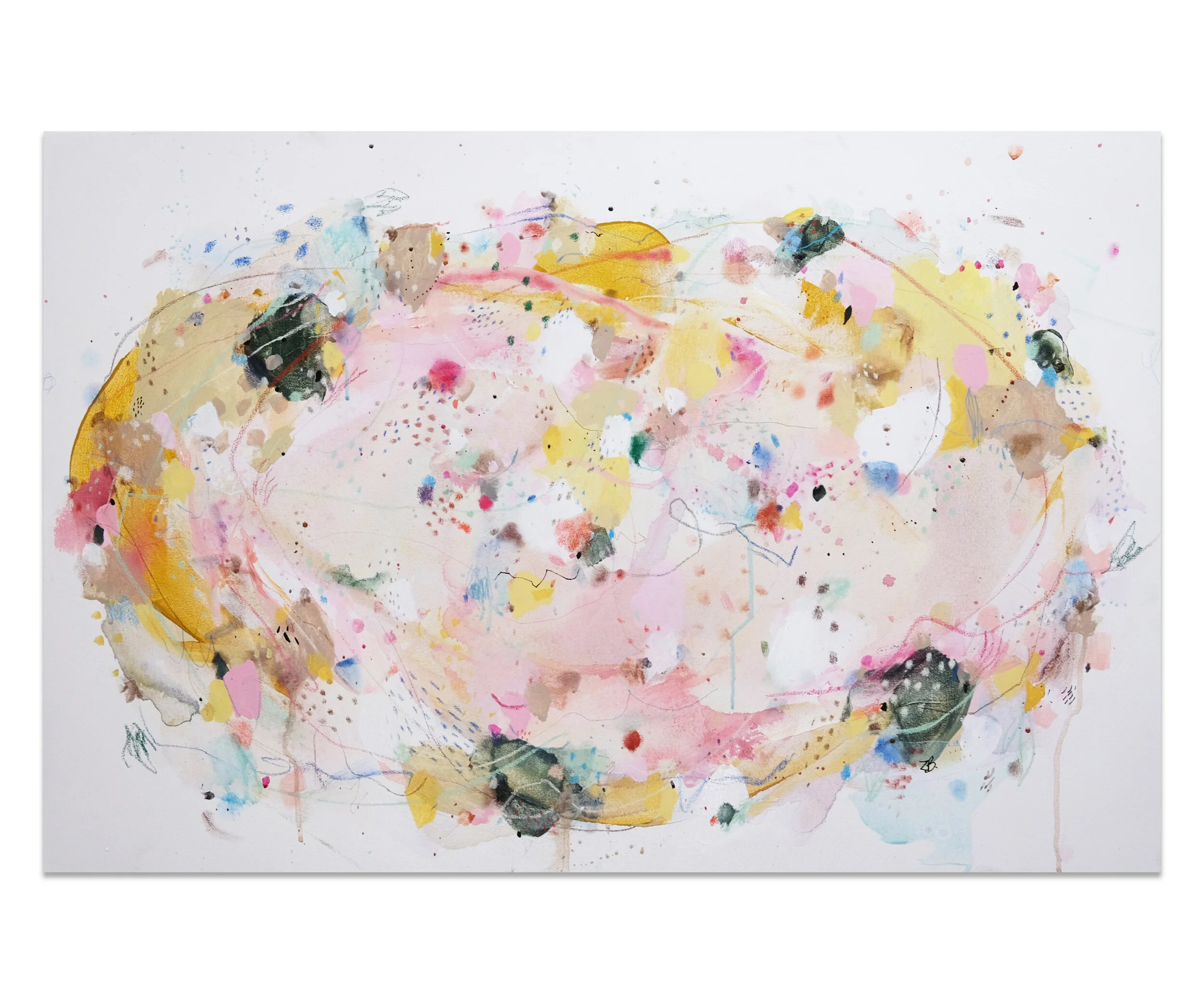 Mimosa-ombre2.jpg