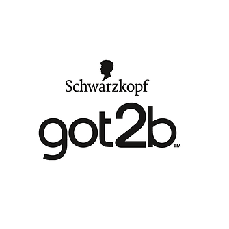 got2b-us-logo.png