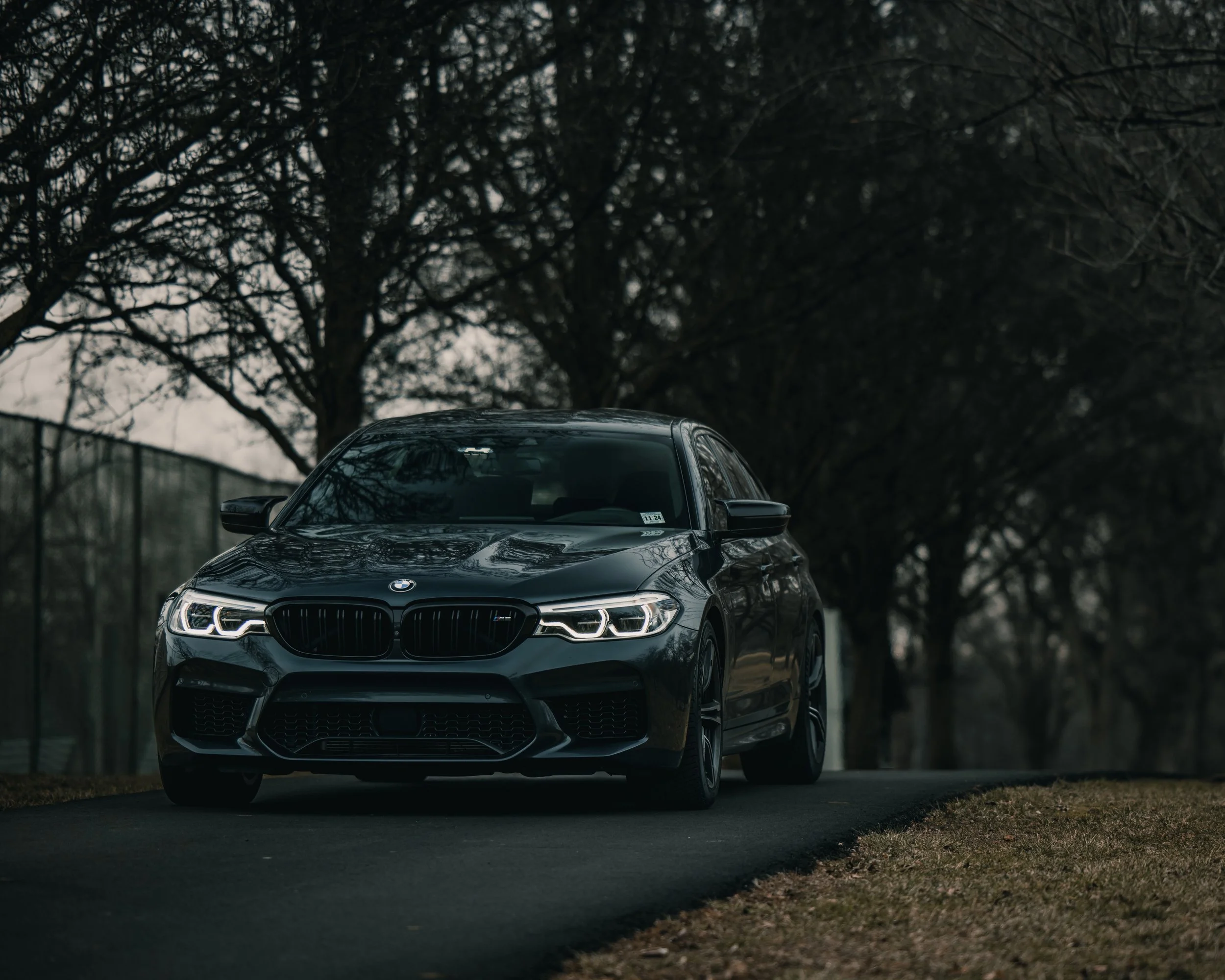 Front view of a dark gray BMW on a tree-lined road