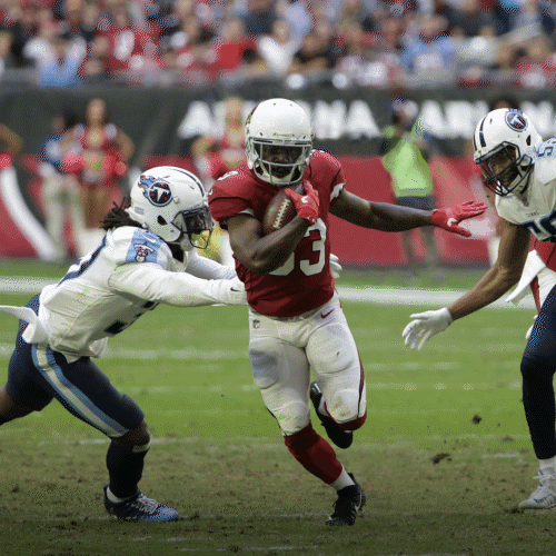 Cardinals_1080x1080.gif