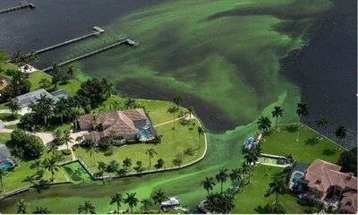 algalblooms.jpg
