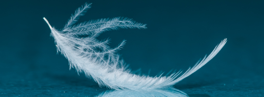 angel  image homepage.png