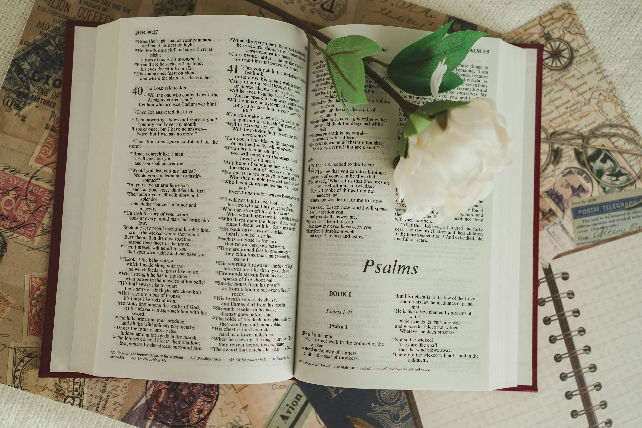 Women’s Summer Book Study