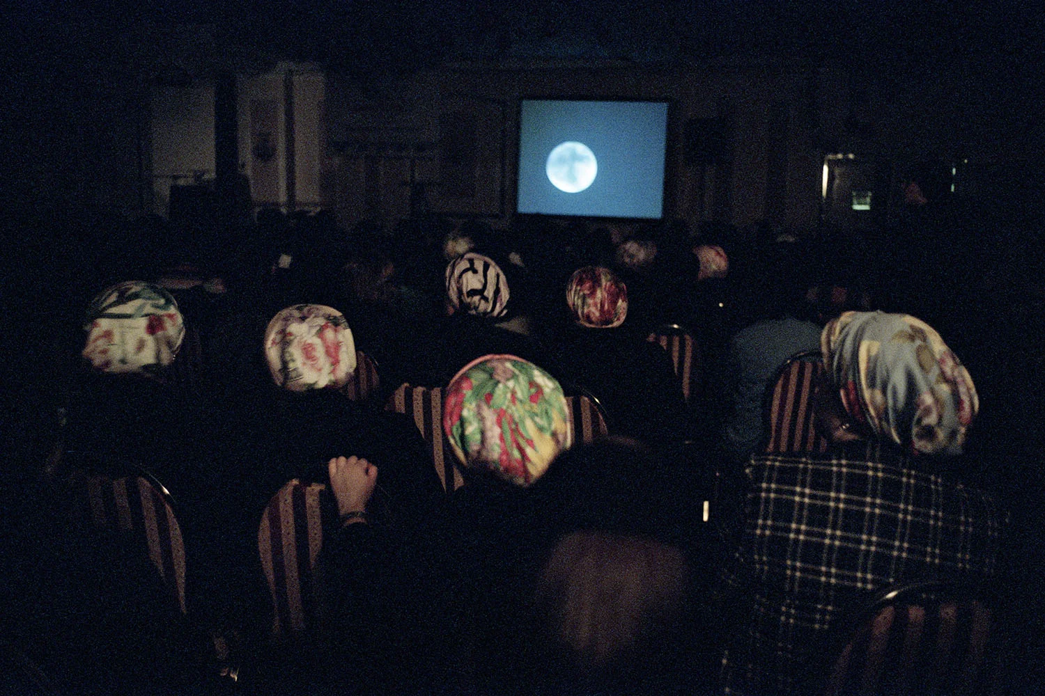CLD008_img11.jpg