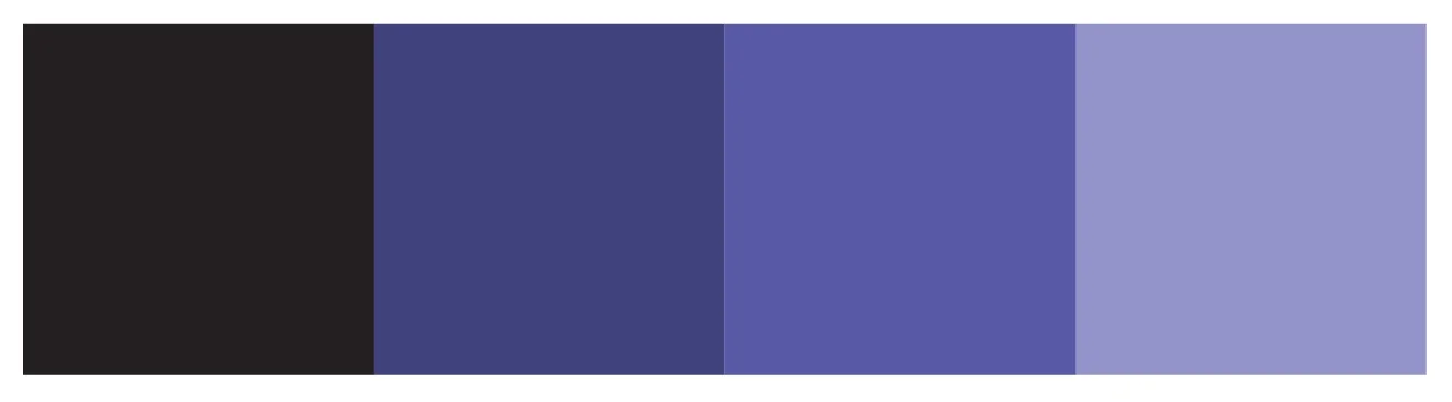 Color Palette