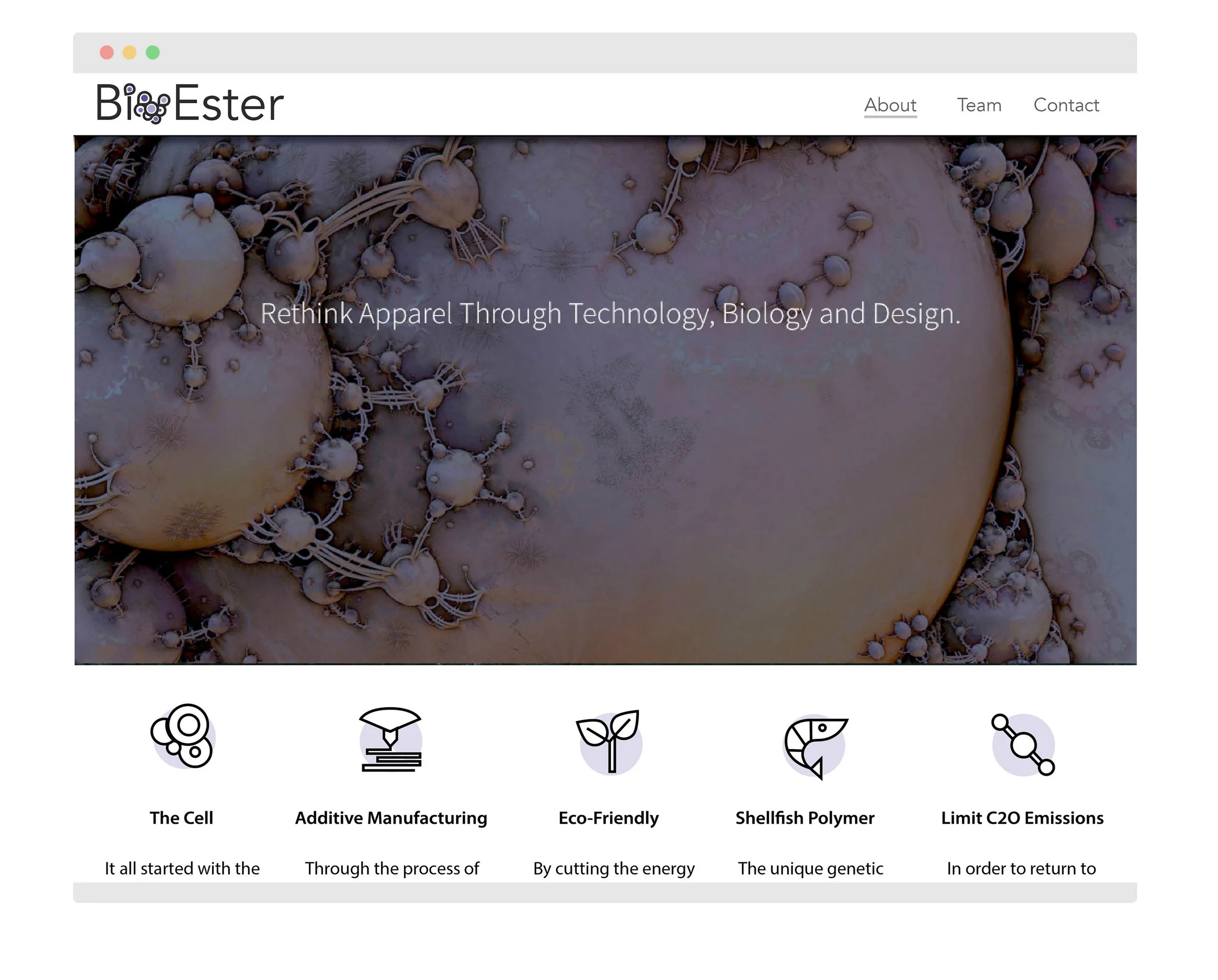 Website mock-up