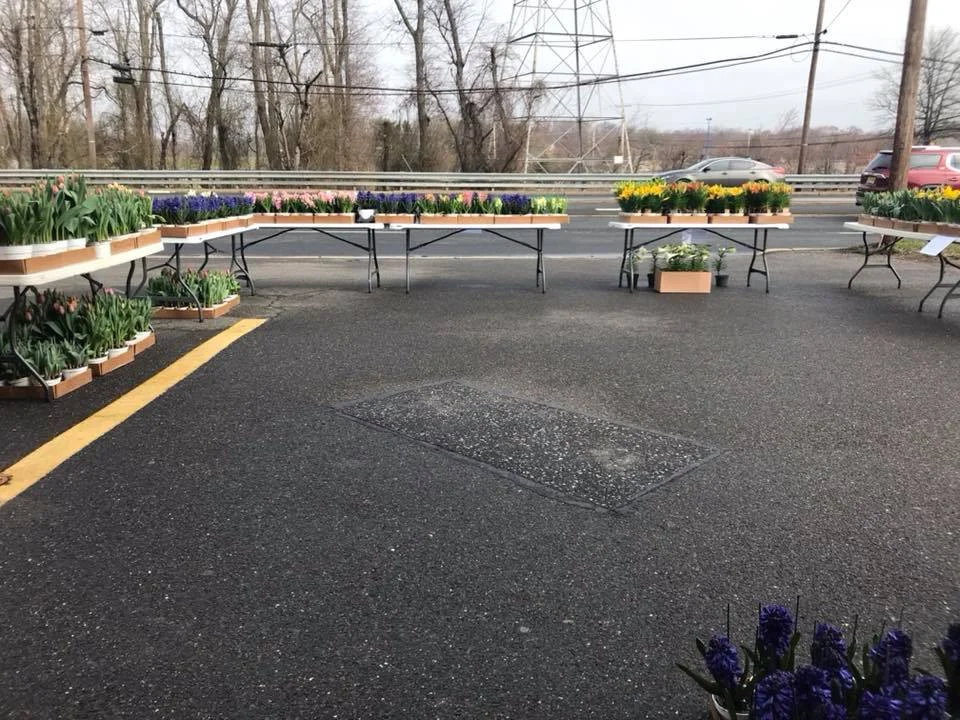 flowersale2.jpg