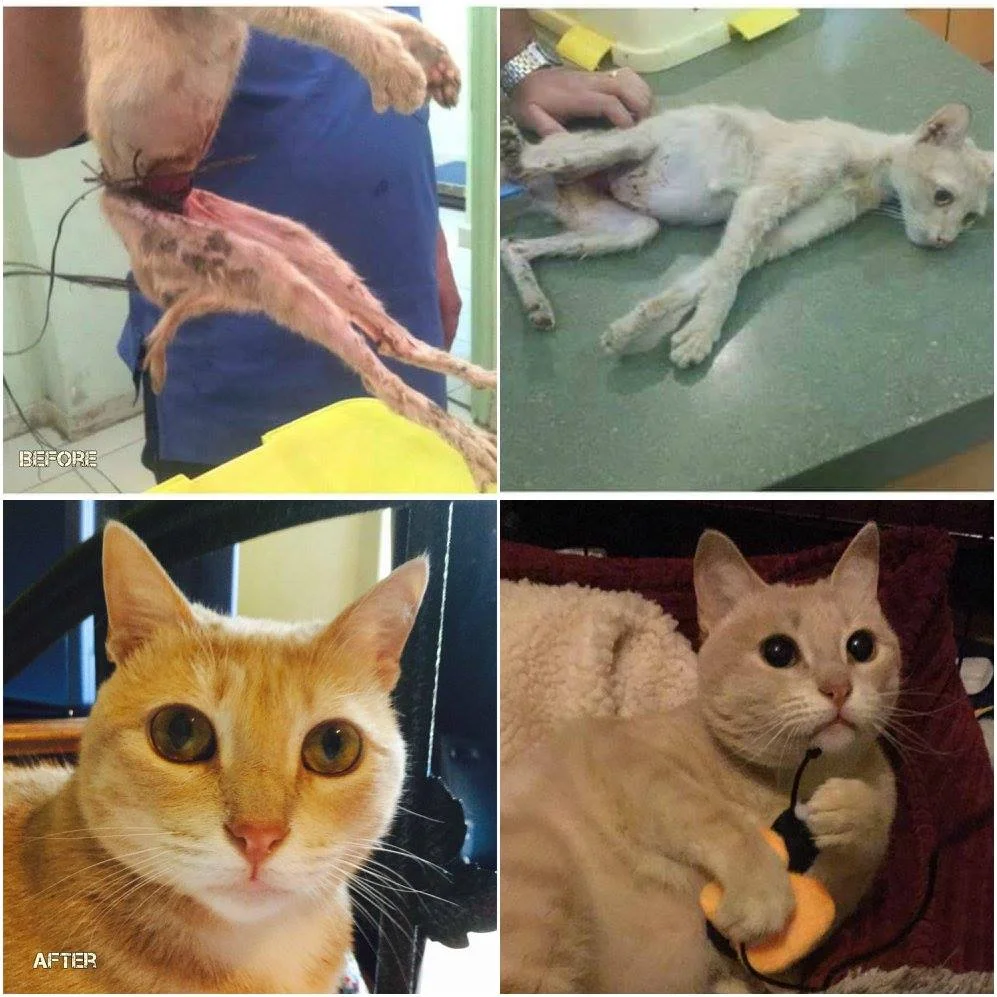 Before and after