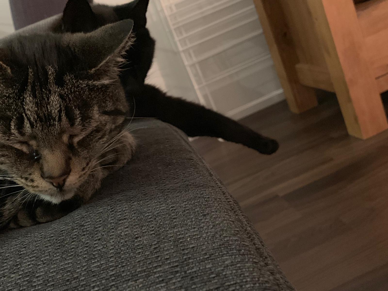 Eric_Rakim_sleeping.jpeg