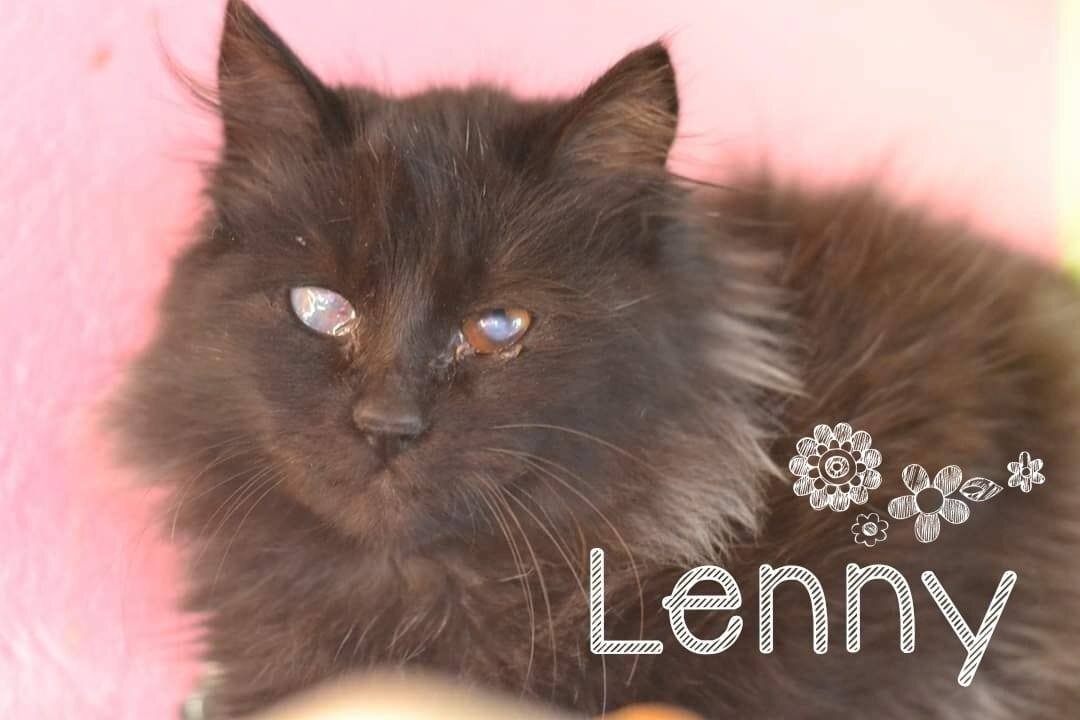 Lenny 2.jpg