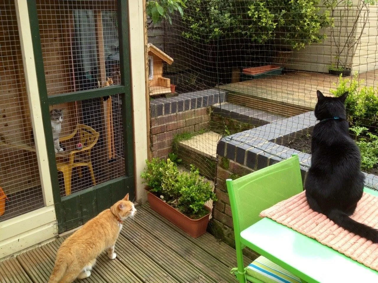 155HR Garden 2012.JPG