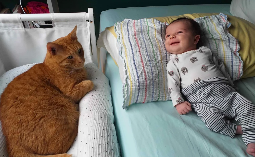 Are Cats Bad for Babies Health? Shocking Truth Revealed!