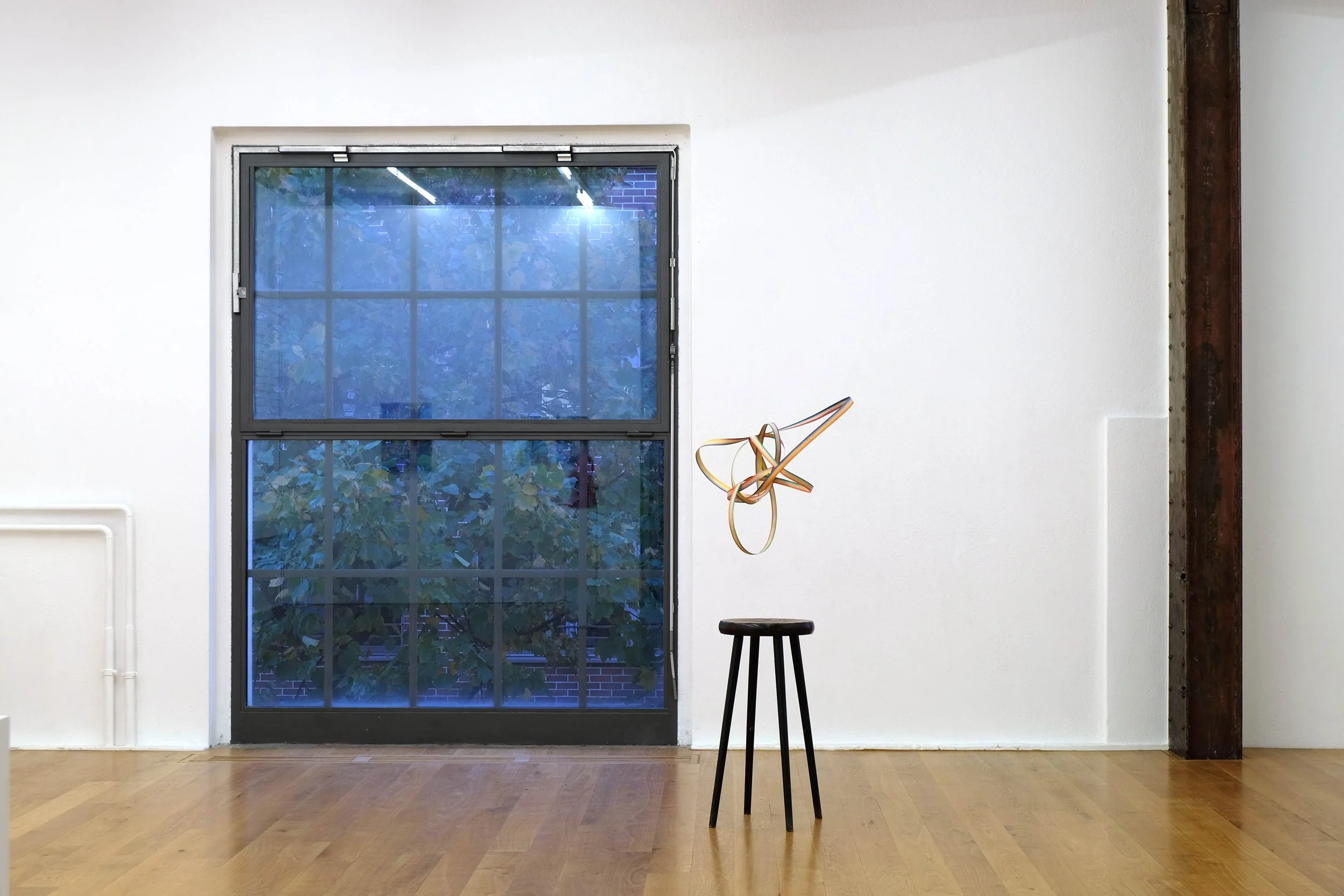 DSCF2425kühl ohne annaneu.jpg