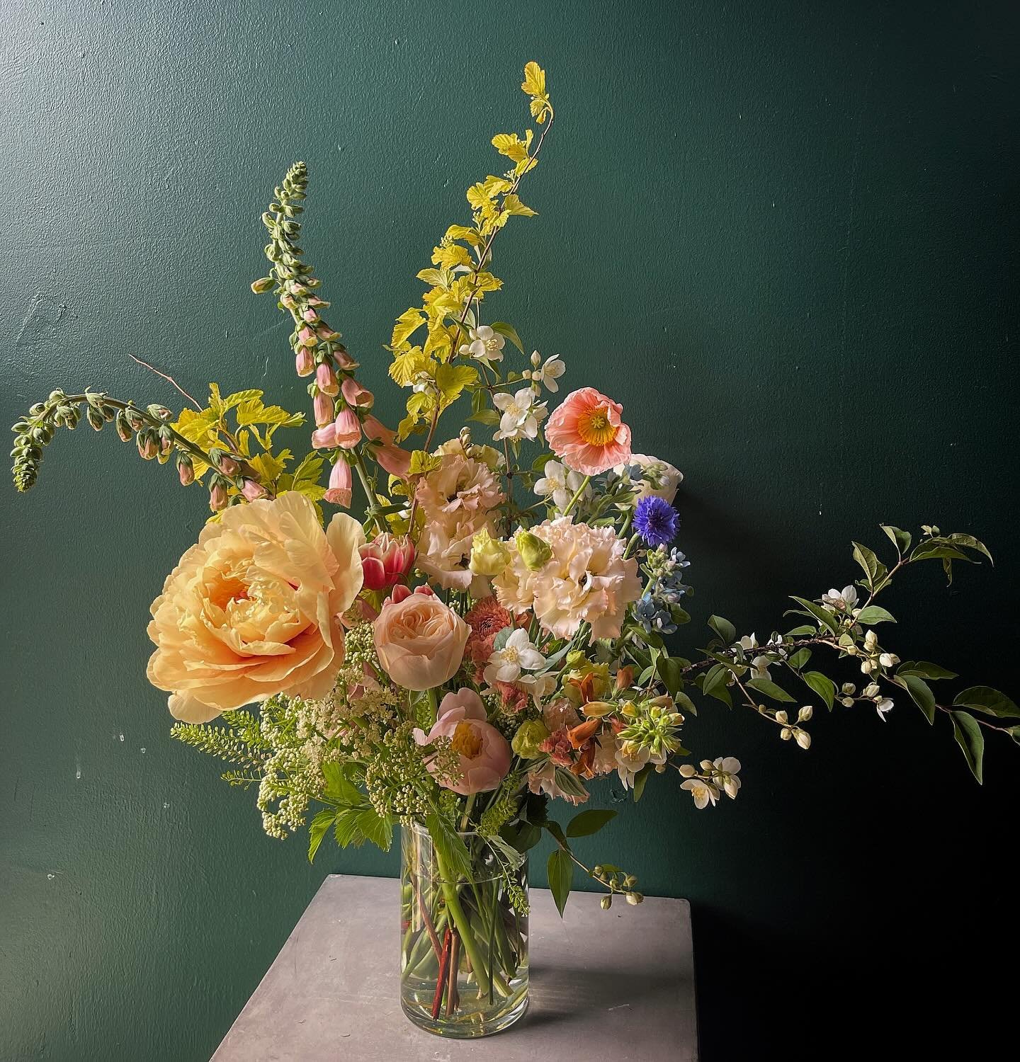 For the bar! Garden Dutch master vibes forever and ever and ever.
