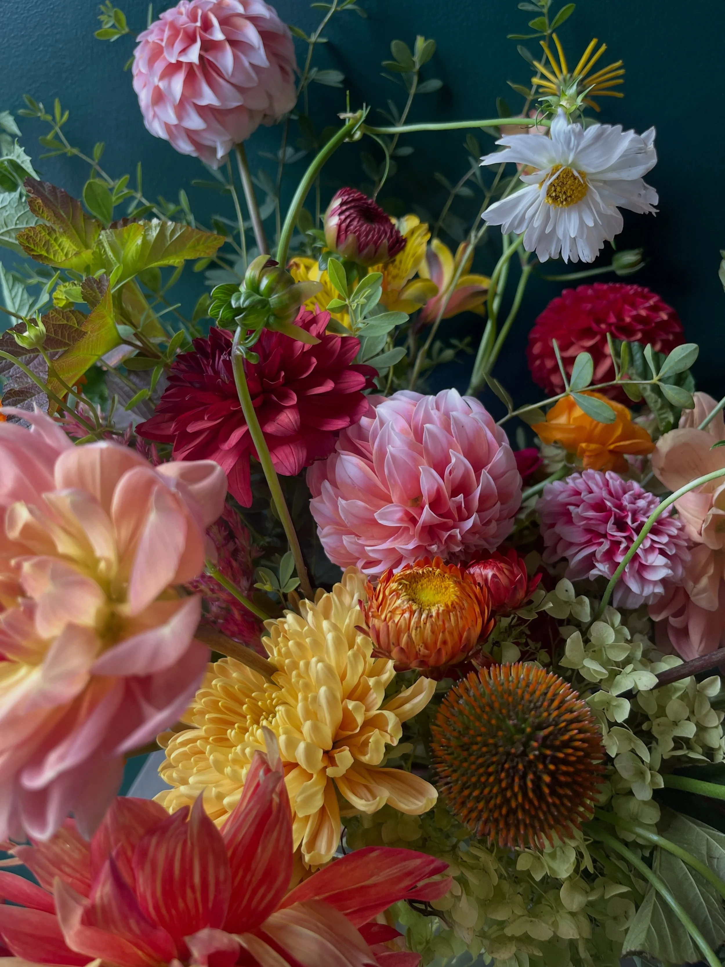 Late summer &agrave; la carte cuties. They&rsquo;d like it &ldquo;warm, wild and modern - like an Italian or California summer garden.&rdquo;