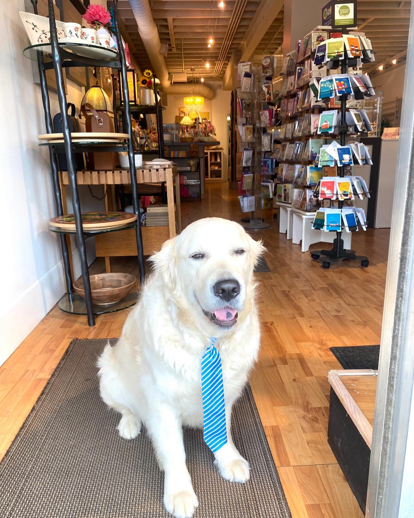 Oliver is ready to wish everyone a Happy Mothers Day! #olivergold #shopdog #goldensrule #mothersday #happymothersday #shopdtw