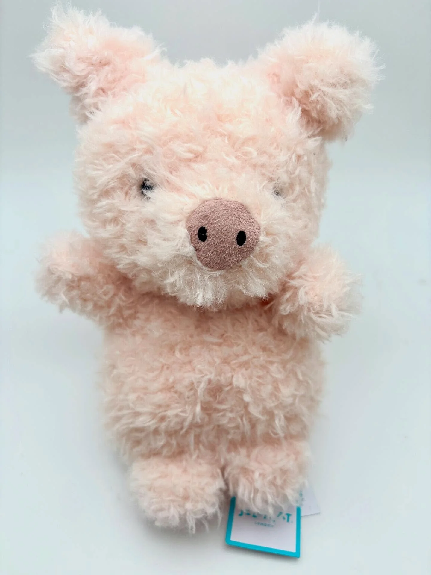 New Jelly Cat in today! Cutest Little Pig💖 Check out more in our story #jellycat #jellycatlittlepig #jellycatnation