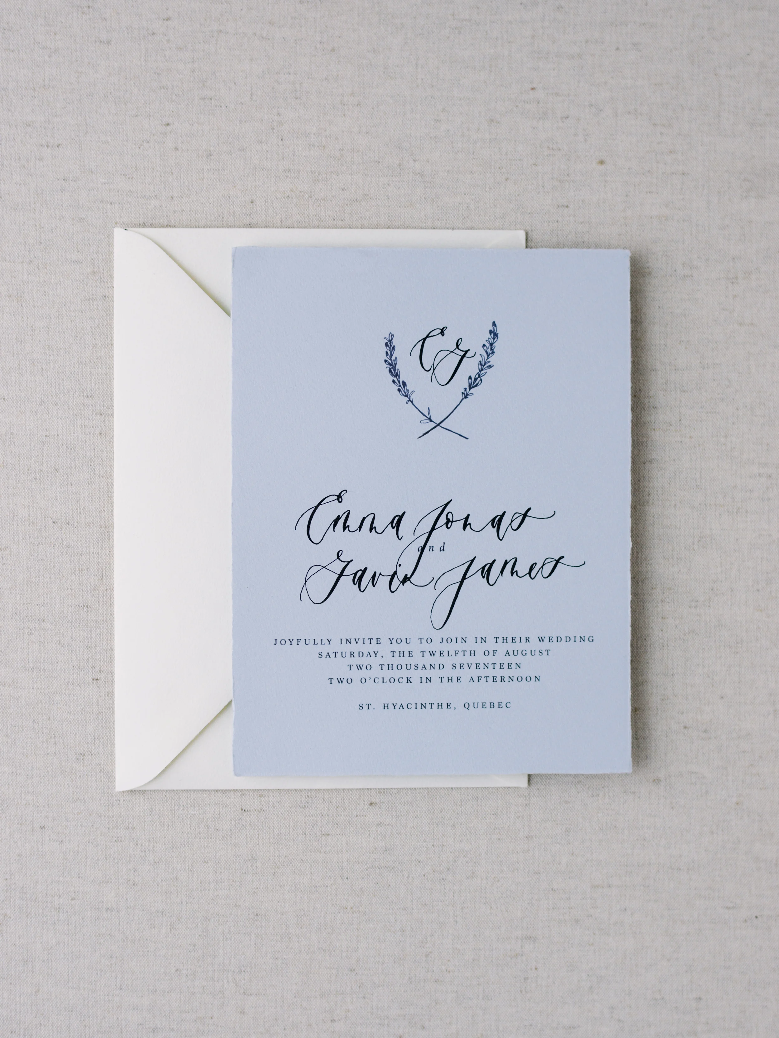 Lavender | One Piece