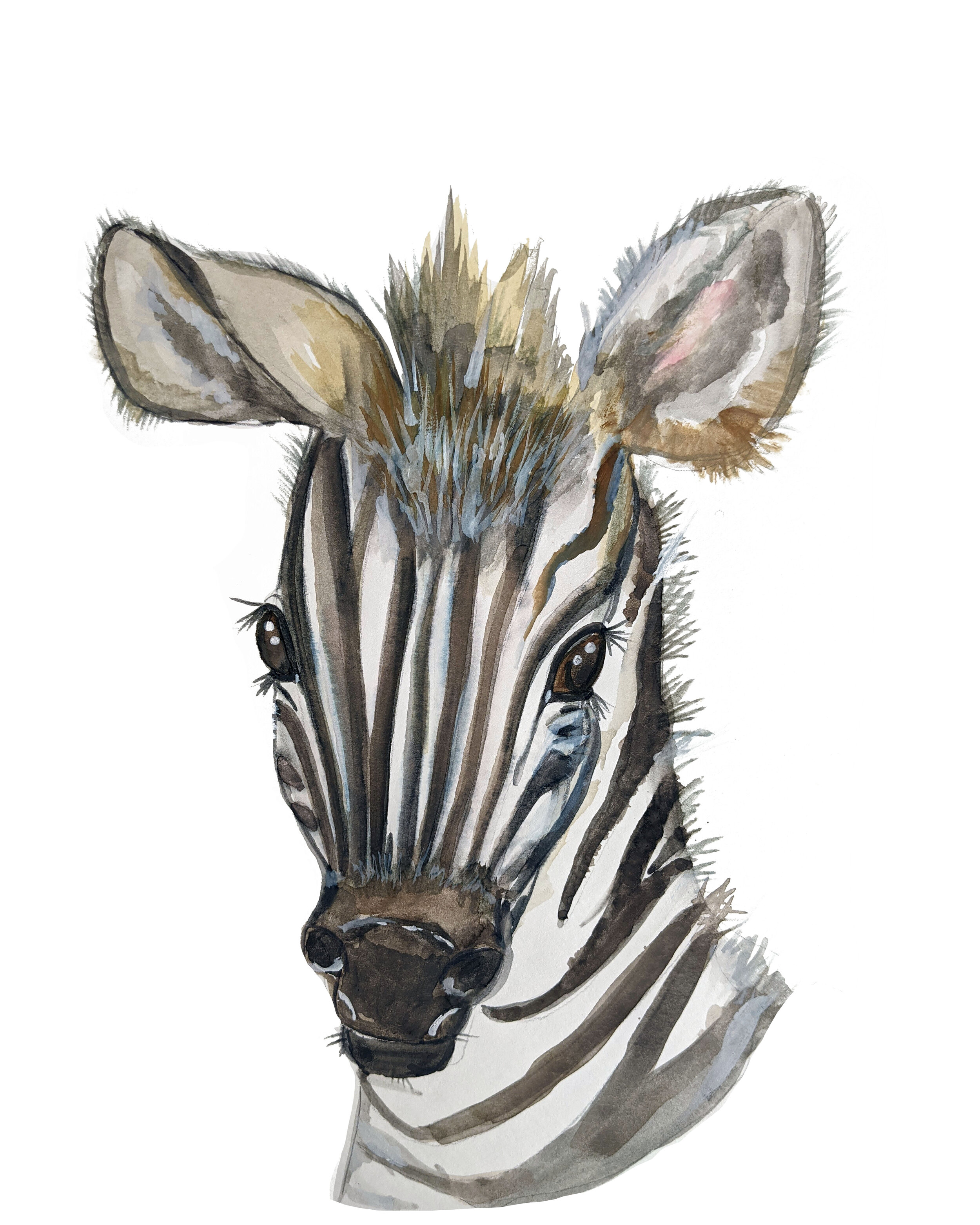 Baby Zebra w/ or w/o flower crown