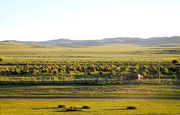Farm site (Paul's)(etch).jpg