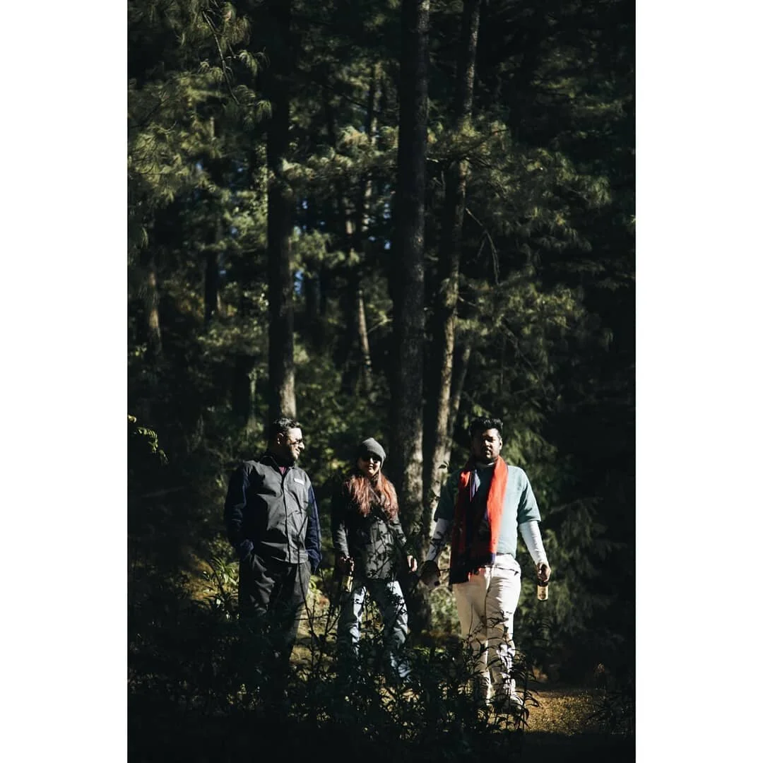 The woods. They managed to find the perfect patch of sun.