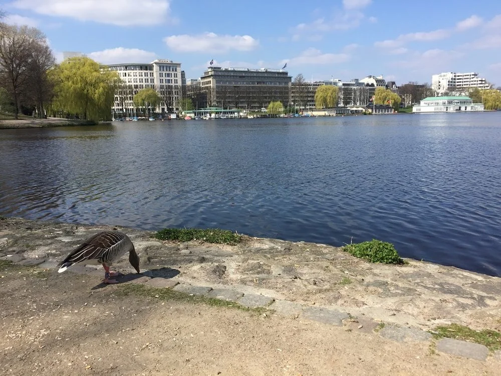Hamburg, Germany: Did you know America bombed it?