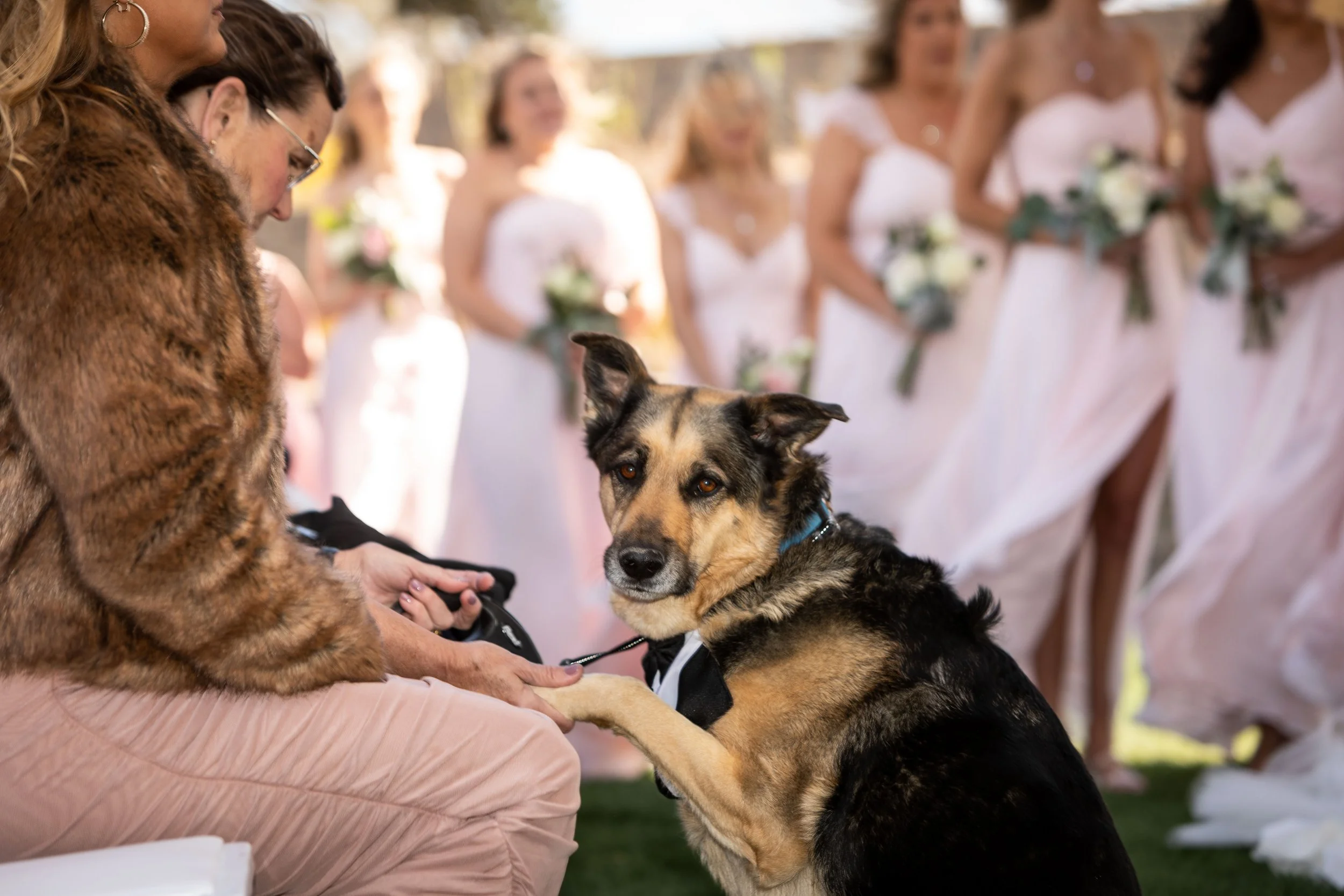 8weddingsMorganMicahPORT-0007.jpg